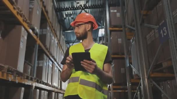 Pracovník kontroluje zboží ve skladu. Správce skladu zadává data prostřednictvím tabletu — Stock video