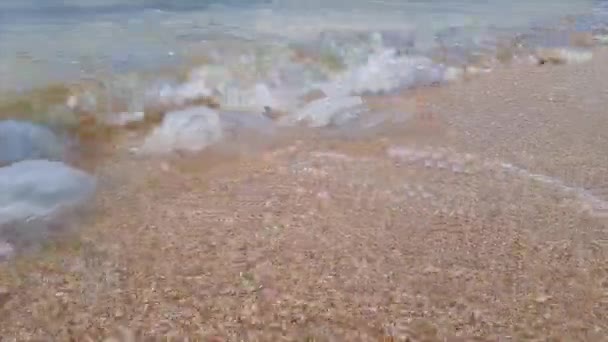 Des méduses échouées. Grosses méduses mortes au bord de la mer. Méduses sur le rivage. — Video