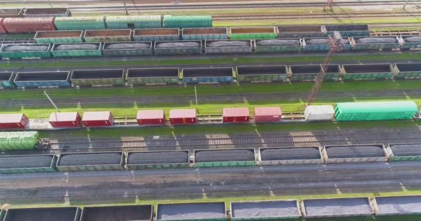 大型鉄道駅の上からの眺め。鉄道駅の多くの貨物色の列車 — ストック動画
