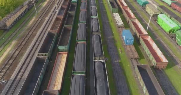 Spoorverbinding met veel rails bovenaanzicht. Gekleurde treinen staan in een groot spoorwegdepot — Stockvideo