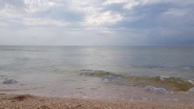 Deniz kıyısındaki büyük ölü denizanası. Denizanası kıyıya vurdu. Deniz kıyısındaki denizanası.