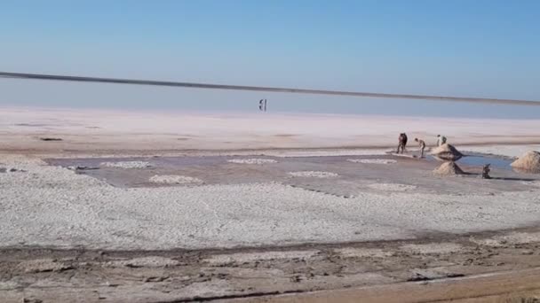 提取盐分。盐矿址。盐湖 — 图库视频影像
