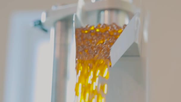 Capsules de gélatine gros plan, production de médicaments en capsules de gélatine — Video