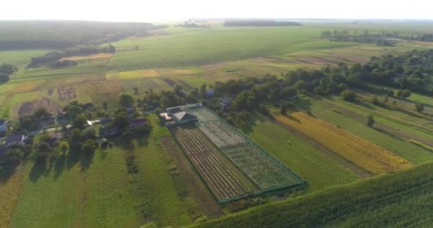 日没の田舎の小さな農場。農業空撮。空気からの農場。田舎の小さな空気の上を飛ぶ. — ストック動画