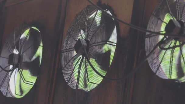 Close-up of fans in a factory. Ventilation of the workshop with industrial fans close-up — Stock Video