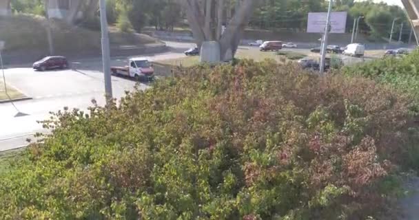 Cars pass under the bridge. Car traffic. Cars drive along the road in the city top view. Many cars on the road passing under the bridge top view — Stock Video