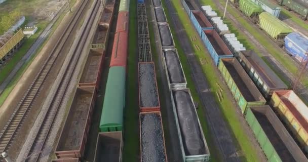 Large Train depot top view. Many freight color trains in the railway depot — Stock Video