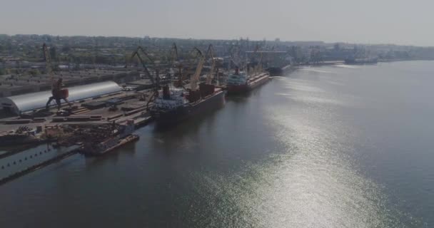 El plan general para graneleros en el puerto. Bulkers en el puerto marítimo, barcos para el transporte de carga a granel vista aérea — Vídeo de stock