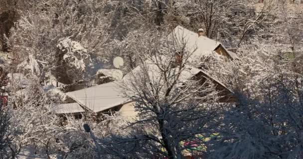 Karlı kır evi. Karda kır evi. Kış çöldedir. Ağaçların arasında karlı bir ev. — Stok video