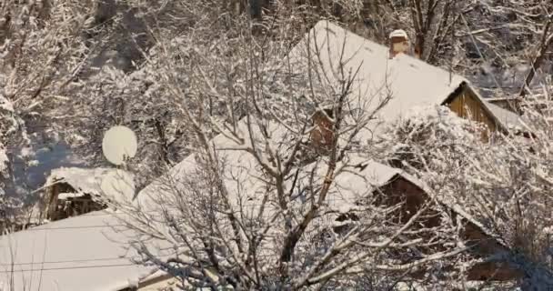 Śnieżny wiejski dom. Dom na wsi w śniegu. Zima jest na pustyni. Dom w śniegu między drzewami — Wideo stockowe