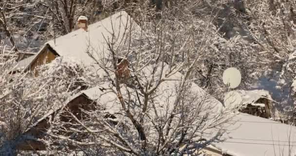 Деревенский дом в снегу. Снежный загородный дом. Зима в пустыне. Дом в снегу между деревьями — стоковое видео