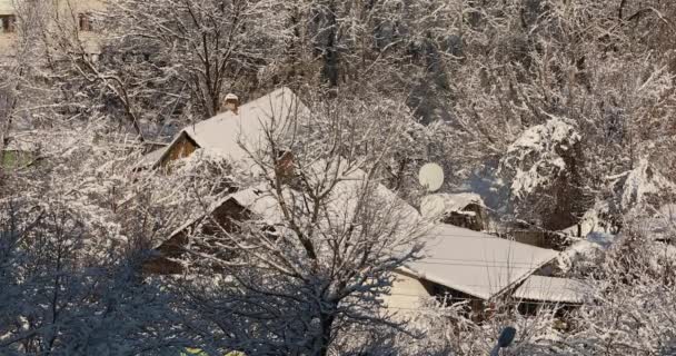 雪のカントリーハウス。雪の中のカントリーハウス。冬は砂漠にある。木々の間の雪の中の家 — ストック動画