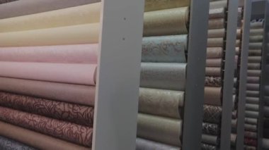 Yeni örneklerle ayakta duruyor. Duvar kağıdıyla yuvarlanıyor. Duvar kağıdı örnekleriyle birlikte dükkanda duruyor. Desenli duvar kağıdı