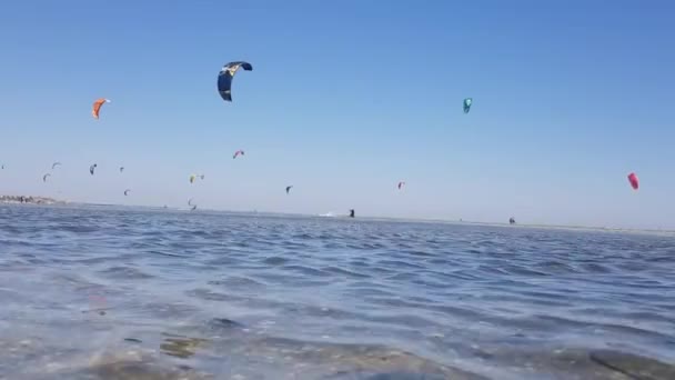 Οι άνθρωποι κάνουν kite surfing. Kiteboarding στη θάλασσα. Οι άνθρωποι καβαλάνε το νερό σε μια σανίδα. — Αρχείο Βίντεο