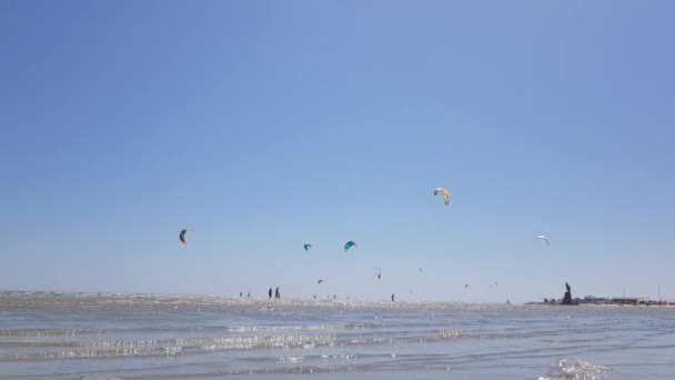 Det finns många kitesurfare vid havet. Folk sysslar med extrema sporter. Drake ombordstigning vid havet — Stockvideo