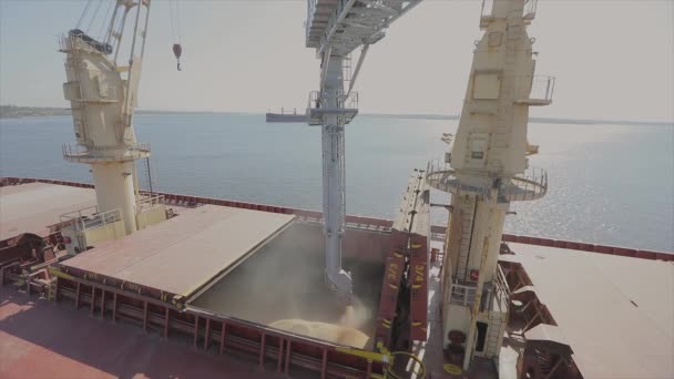 Charger le blé dans un cargo pour le transporter par voie maritime. Le navire est chargé de blé dans le port. Exportation de blé. Exportation maritime. Agriculture — Video