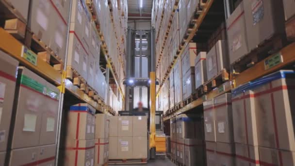 Вилочный погрузчик перестраивает коробки на складе, большой промышленный склад, движение техники на складе — стоковое видео