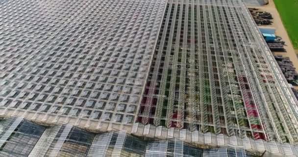 Volando sobre un gran invernadero con flores, un invernadero con un techo retráctil, una vista de invernadero desde arriba, flores en crecimiento. Grandes invernaderos industriales — Vídeos de Stock