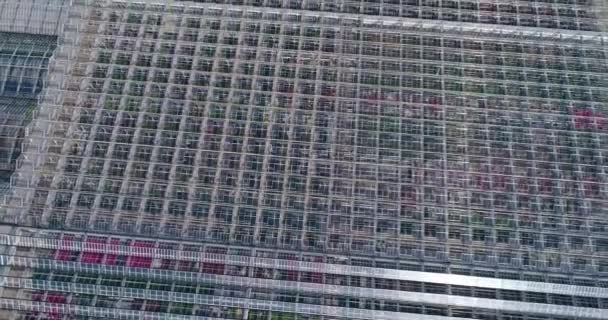 Flying over a large greenhouse with flowers, a greenhouse with a retractable roof, a greenhouse view from above, growing flowers. Large industrial greenhouses — Stock Video