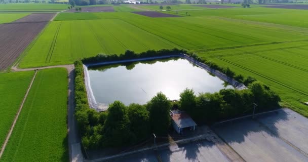 Technical reservoir next to large greenhouses, green fields around a large greenhouse, Technical reservoir around a large greenhouse — Stock Video