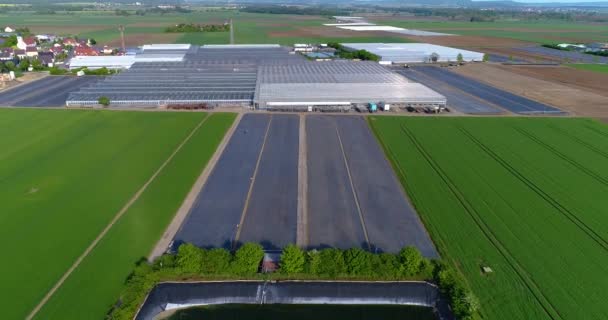 Survolant une grande serre avec des fleurs, une serre avec un toit rétractable, une vue sur la serre d'en haut, des fleurs en croissance. Grandes serres industrielles — Video