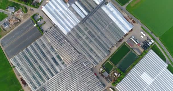 European city near greenhouses, a large greenhouse complex near the European village, Google Maps illusion — Stock Video
