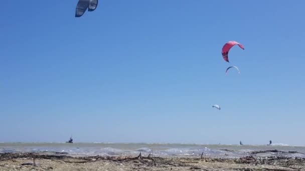 Kiteboarding na moři, mnoho kiteboardistů na moři. Lidé praktikují extrémní sporty na moři — Stock video