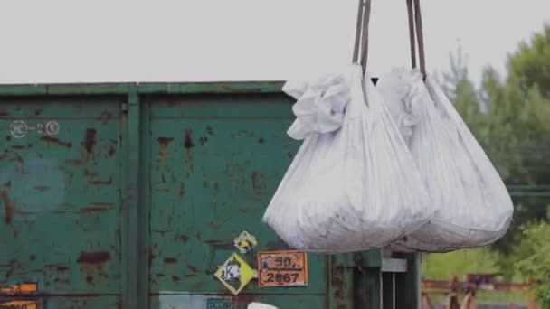 Caricare grandi sacchi nel carro in fabbrica in una giornata limpida — Video Stock