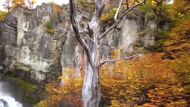 Καταρράκτης Chorrillo del Salto κοντά στο El Chalten, Αργεντινή — Αρχείο Βίντεο