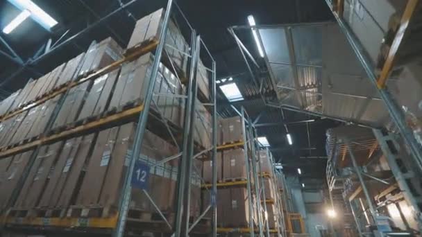 대형 현대식 창고. 현대적 인 공장 창고 야. 상자들이 있는 재봉사 — 비디오