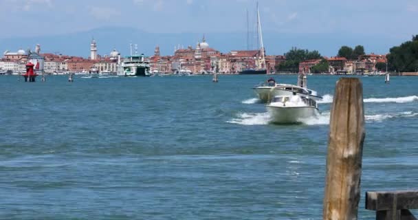 Veel boten in het kanaal van Venetië, Campanile di San Marco en Palazzo Ducale op de achtergrond. Veerboot in het kanaal van Venetië. Water verkeer in Venetië — Stockvideo