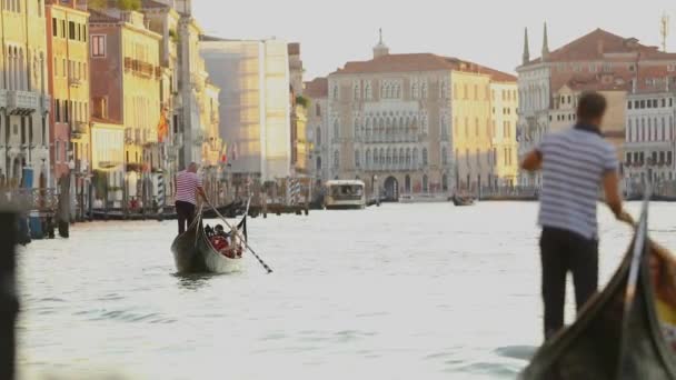 Gondel met toeristen in een groot kanaal in Venetië. Prachtig groot grachtenpand. Gondelaar rijdt toeristen Venetië, Italië. Romantische plek Venetië — Stockvideo