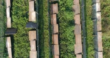 Salyangoz çiftliği hava manzarası. Salyangoz çiftliği manzaralı. Salyangoz çiftliğinin üzerinden uç