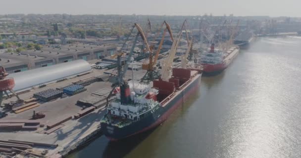 Bir kargo gemisini yüklemek, bir limanda vinç işletmek için genel plan — Stok video
