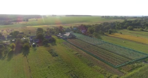 Πετάξτε πάνω από μια φάρμα σαλιγκαριών. Αεροφωτογραφία φάρμας σαλιγκαριών. Πάνω όψη φάρμας σαλιγκαριών. — Αρχείο Βίντεο
