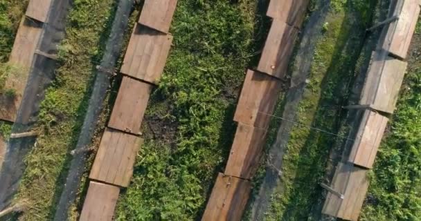 달팽이 농장 위로 날아가. 달팽이 농장 항공 사진. 못 으로 된 농장 꼭대기 전경. — 비디오