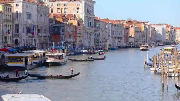 Gondoleiros no Grande Canal, Veneza, Itália. Cidade antiga de Veneza — Vídeo de Stock