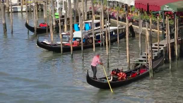 Gondoleiros no Grande Canal, Veneza, Itália. Cidade antiga de Veneza — Vídeo de Stock