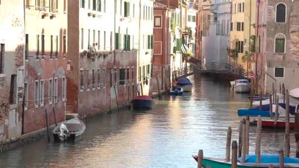 Canaux vides de Venise pendant la quarantaine, canal vide de Venise, île Bruno — Video