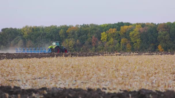 Processing the field with a tractor. The tractor is processing the field. Tractor plows agricultural field — Stock Video