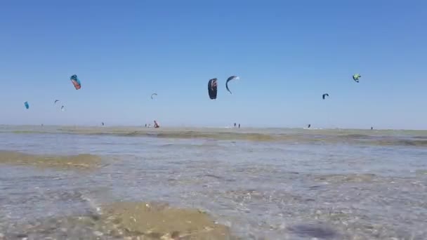 凧揚げ、海でカイトサーファー。極端なウォータースポーツ。水浴びの楽しみ — ストック動画