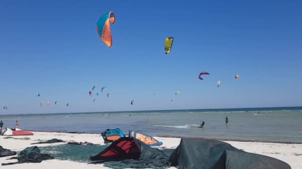 Aquilone imbarcato, aquilone surfista in mare. Sport acquatici estremi. Kiteboarding acqua divertimento — Video Stock