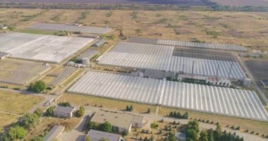 Sebzelerle dolu büyük bir seranın üzerinde uçmak, yukarıdan bir sera manzarası. Büyük sanayi seraları.