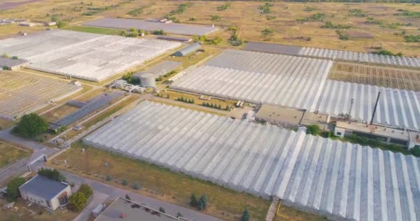 Industrial plant growing, large greenhouse from the air. Industrial Exterior — Stock Video