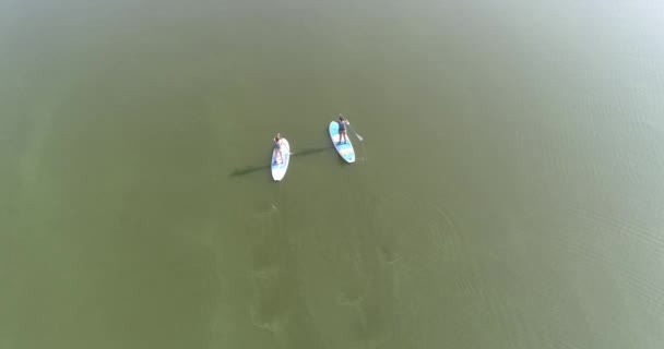 Two SUP boards in the lake. Two SUP boarders float on the lake top view. A pair of Sap bordists floats on the river top view — Stock Video