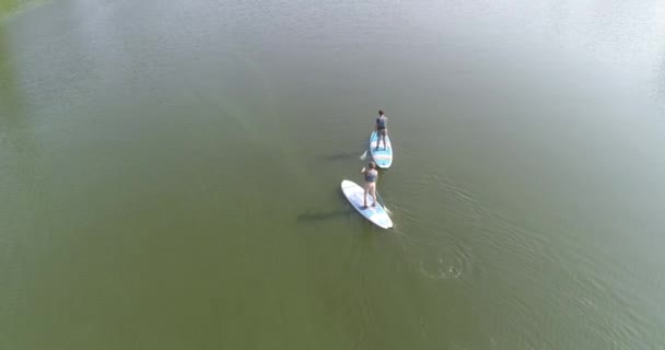 Un par de bordistas Sap flotan en la vista superior del río. Dos tablas de SUP en el lago. Dos internados SUP flotan en la vista superior del lago. — Vídeo de stock