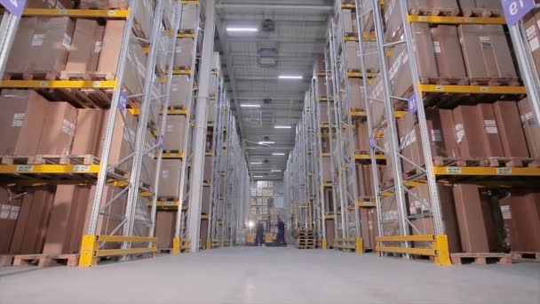 Timelaps av ett stort lager, många människor arbetar i en lagertid varv, många stora utrustning i ett lager — Stockvideo