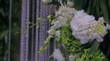 Çiçeklerin düğün dekoru, düğün dekorunda beyaz çiçekler. Şık bir düğün dekoru