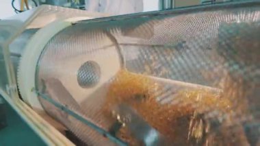 Jelatinimsi bir kabuktaki tabletler varilde dönüyor. Tıbbi ürünlerin üretimi. Bir ilaç fabrikasında iş akışı