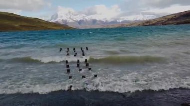 Patagonya dağları, patagonya dağ manzaraları. Cerro Payne Grande Dağı ve Torres del Paine manzarası.